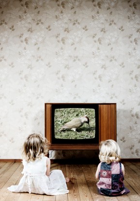 Trzylatki, które regularnie oglądają telewizję rozumieją sześciokrotnie mniej słów niż ich rówieśnicy całkowicie pozbawieni kontaktu ze szklanym ekranem.  
