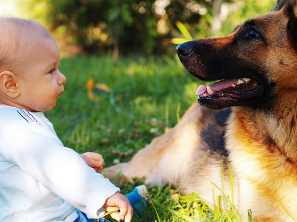 W obecności zaprzyjaźnionego psa, poziom stresu u dziecka, spada.      