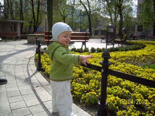 Zdjęcie zgłoszone na konkurs eBobas.pl Alanek szukał, szukał i znalazł oznaki wiosny...