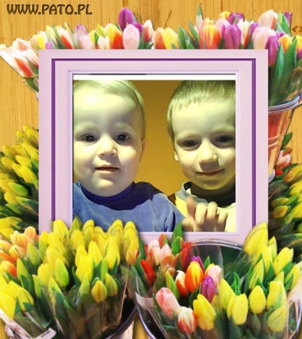 Zdjęcie zgłoszone na konkurs eBobas.pl wśród tulipanów