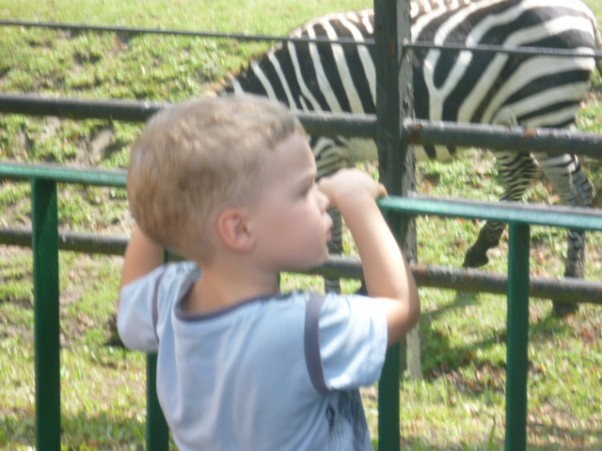 Zdjęcie zgłoszone na konkurs eBobas.pl wyprawa do zoo