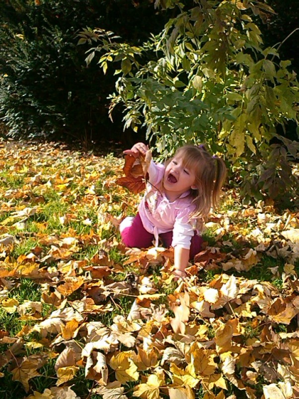 Jesien mam cie listku to cie zjem \ntrzeba wszystko spróbować nawet liści :&#41;