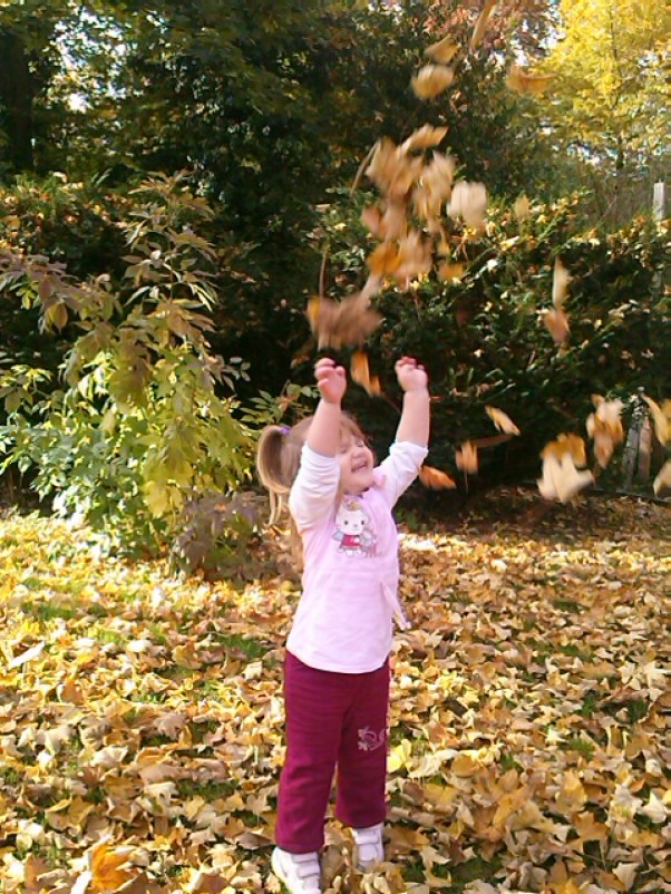Tancza liscie tanczy Victoria jesienny spacer to przyjemność.to spadające liście w różnych kształtach i kolorach .w twarz jesienny powiewa ciepły wiaterek tańczących liści