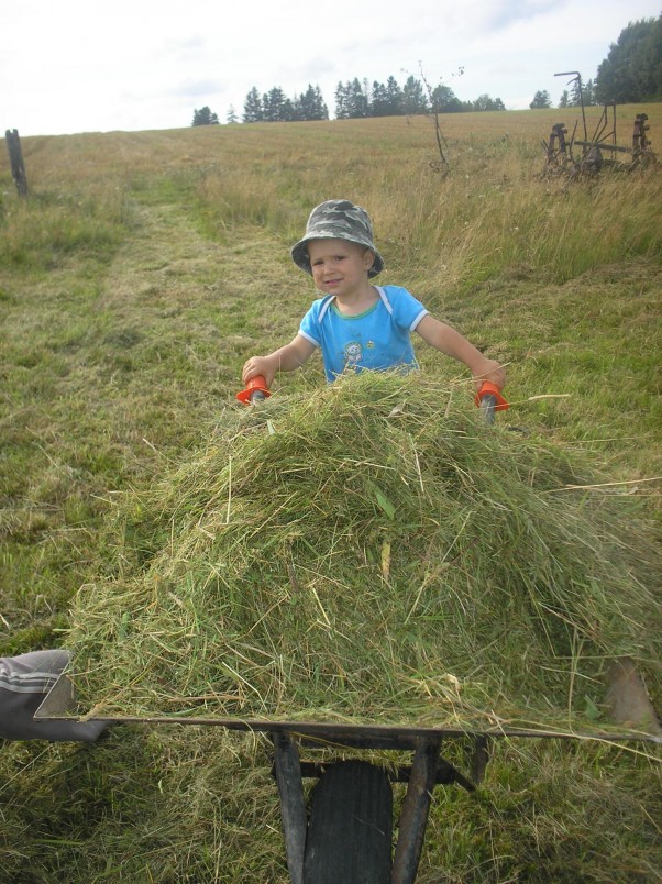 Zdjęcie zgłoszone na konkurs eBobas.pl pip pip bo jadę....:&#41;