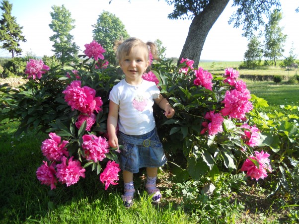 Zdjęcie zgłoszone na konkurs eBobas.pl Martynka w letnim ogrodzie:&#41;