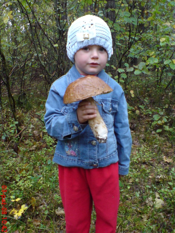 jesienne Grzybobranie Jesienią dzieci się nudzą,Agnieszka pojechała z tata do lasu na spacer ,i znalazła w  chaszczach grzyba,jaka była radość.