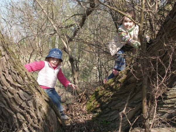 Zdjęcie zgłoszone na konkurs eBobas.pl My się zimy nie boimy, ale wiosnę nawet na drzewie wytropimy.