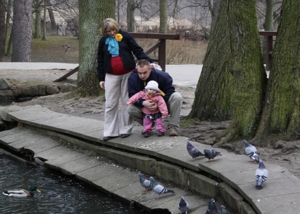 Wiosna jeszcze nie przyszla, ale kaczki tak W parku Oliwskim Ewka szukala wiosny, ale znalazlatylko kaczki i gołębie. 23&#45;03&#45;2010