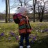 Nicola w Parku pierwsze dni tegorocznej wiosny. Kwiatuszek wsrod kwituszkow.