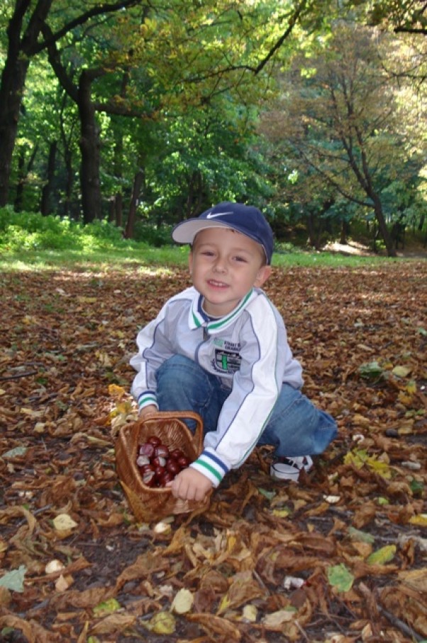 Nasze jesienne zbiory. Leci kasztan leci \nZa nim drugi, trzeci \nA Miłoszek rady \nŻe mu czwarty spada \n\nTen jeden brązowy \nTen drugi brązowy \nA ten trzeci, czwarty \nBiały do połowy. \n