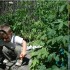 Miłosz ogrodnik &#45; od małego lubi prace ogrodowe i zawsze chętnie pomaga. Kopie, sadzi i podlewa a potem zrywa plony.