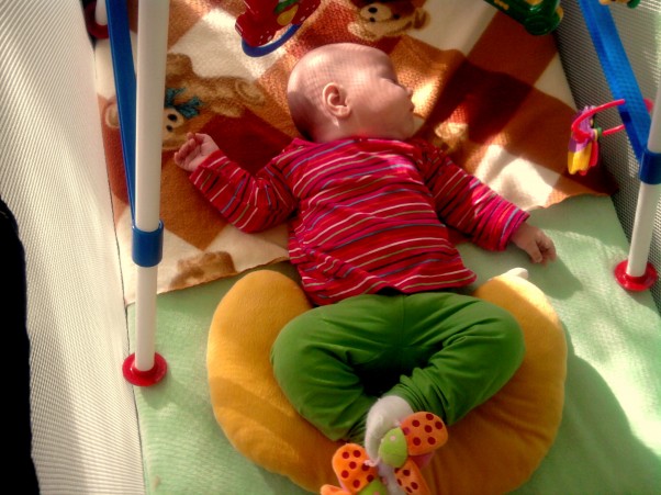 Biedroneczka Śpiąc w zabawkach