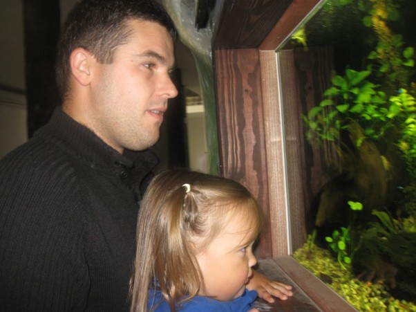Wodny świat Tatuś i Nika podczas wycieczki do Zoo.\nNajwiększym powodzeniem cieszyły się rybki :&#41;.
