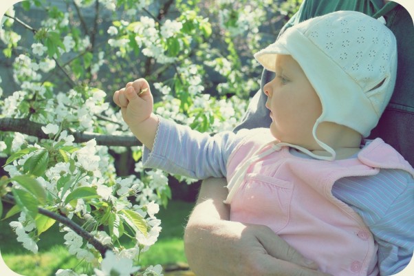 Podziwiam wiosnę... A jak to się dzieje, że drzewo zielenieje?\nI że liście zielone zdobią jego koronę?\nCo to za kwiatki wypełniły rabatki?\nPo tym wszystkim można poznać, że w końcu przyszła WIOSNA!!