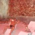 DSC06571.JPG