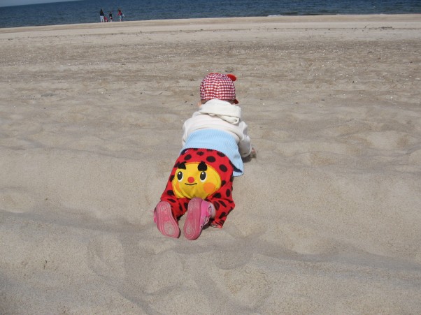 Zdjęcie zgłoszone na konkurs eBobas.pl Iść, ciągle iść w stronę morza:&#41; Raczkowanie po piasku:&#41;