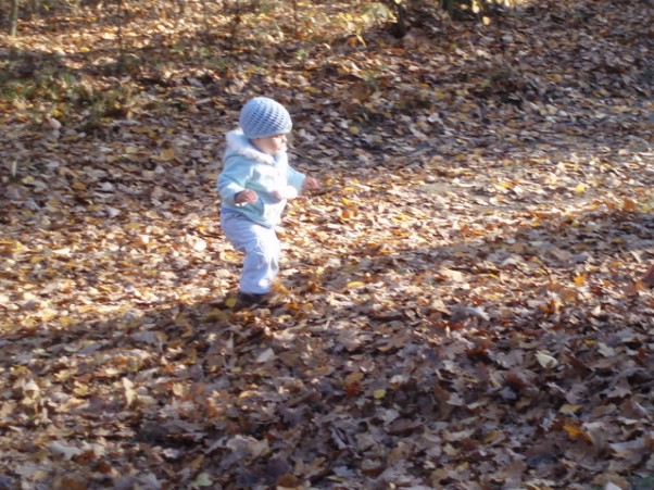 Jesienny spacer Jesienny spacer po lesie z moją pociechą.