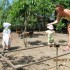 IMG_2674.JPG