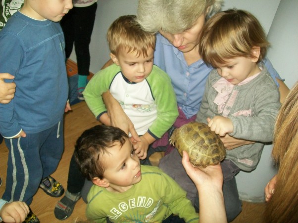 Zdjęcie zgłoszone na konkurs eBobas.pl Mini ZOO w predszkolu