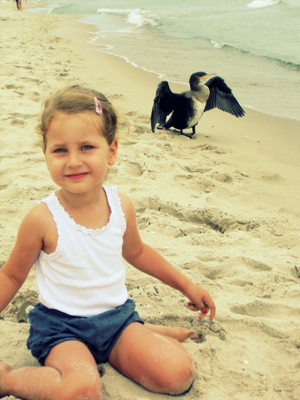 Na plaży w kormoranem :&#41; To niesamowita przygoda spotkać na plaży :&#41;\nNie bał się nas i stał tam bardzo długo :&#41;