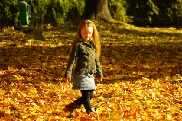 Zdjęcie zgłoszone na konkurs eBobas.pl Eliza w złotych liściach...tegoroczna sesja jesienna bardzo udana;&#41;
