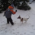 Zimowe szkolenie psa
