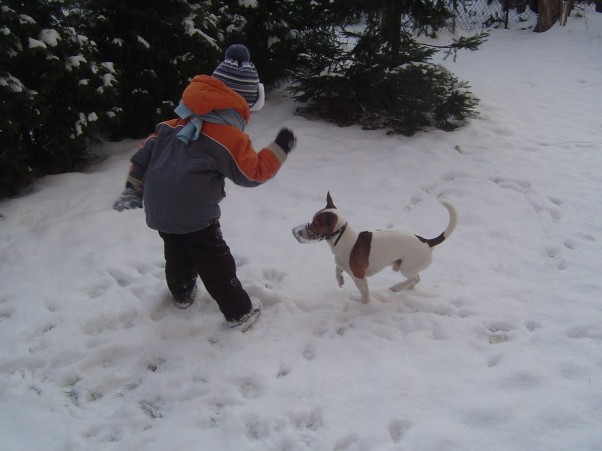 Zimowe szkolenie psa Każda pora roku jest dobra, żeby nauczyć psa czegoś nowego :&#41;