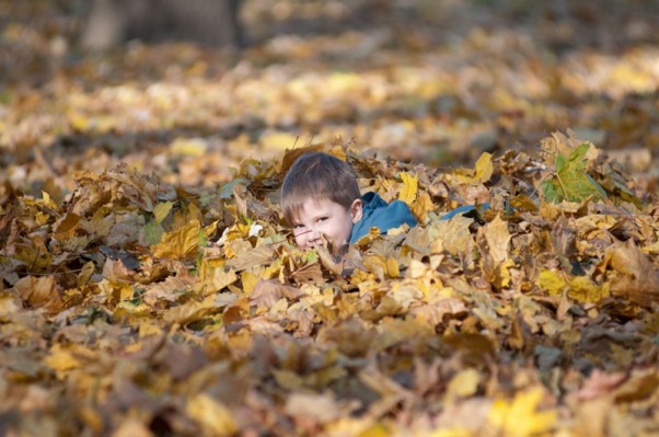 JESIENNY SCHOWEK Jesienią wśród liści się schować,\nI chłodem się nie przejmować...