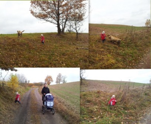 Dwaj przyjaciele z podwórka na jesiennym spacerze! Przyjażń chłopaków rozpoczęła się 4 lata temu od tamtej pory zabaw i wspólnych spacerów nie ma końca. Piotruś i Set lubią gdy na spacerach współtowarzyszą im Amelka z mamą!