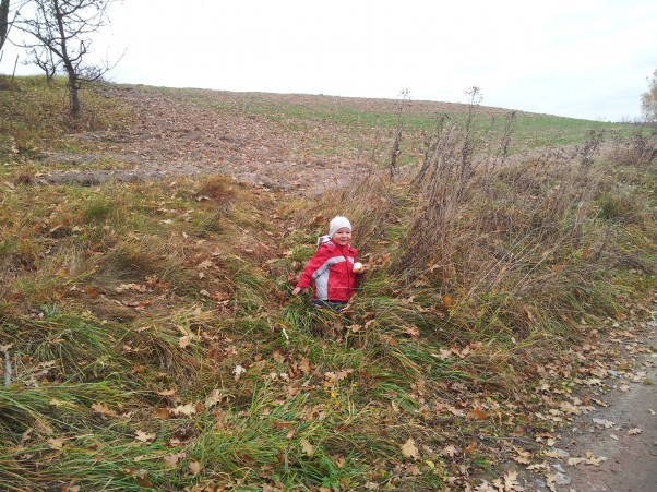 Jesienne szaleństwo! Jestem Piotruś i lubię zabawy na świeżym powietrzu wiosna , lato, jesień ,zima mnie nie powstrzyma. Wspólne harce z mama i siostrzyczką to podstawa dobrej jesiennej zabawy. Podczas szaleństwa na dworze zbieramy liście, które póżniej służą nam do zabawy w domu np. malujemy i robimy jesienne steple na kartkach. Kolorowy jesienny świat jest super.