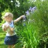 Julka uwielbia bawić się w ogrodzie. Często goni motylki, zrywa kwiatki dla mamy i... trawkę dla dziadka. W ten sposób pomaga mu kosić trawę.