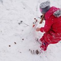 Zdjęcie zgłoszone na konkurs eBobas.pl