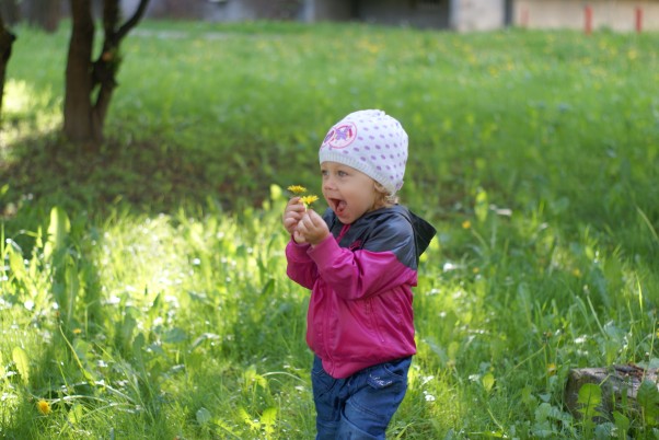 Zdjęcie zgłoszone na konkurs eBobas.pl Mam,2  kwiatuszki,wiosna  już jest z nami,szkoda że  to  zeszłego  roku,ale czuję noskiem,że już jest  blisko:&#41;czarna285