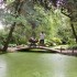 Przelewice ogród Japoński