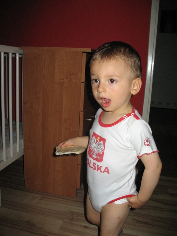 EURO 2012 Polska gola ...!!!