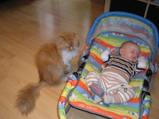 Misiula Michał ma 2 miesiące. Kot ma 12 lat. Zwierzak pilnuje małego jakby był jego dzieckiem.
