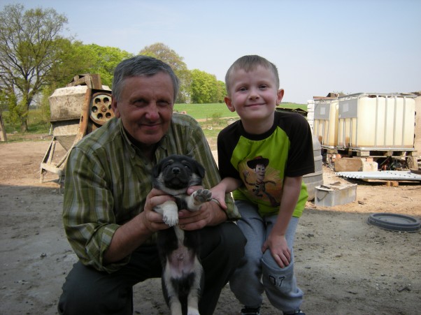 Zdjęcie zgłoszone na konkurs eBobas.pl U dziadka super jest, bo choć jestem mieszczuchem dzięki niemu poznają wiejski świat zwierząt, pastwisk i farm :&#41; Dzięki dziadkowi nie straszne są dla mnie szczeniaczki ;&#41; 