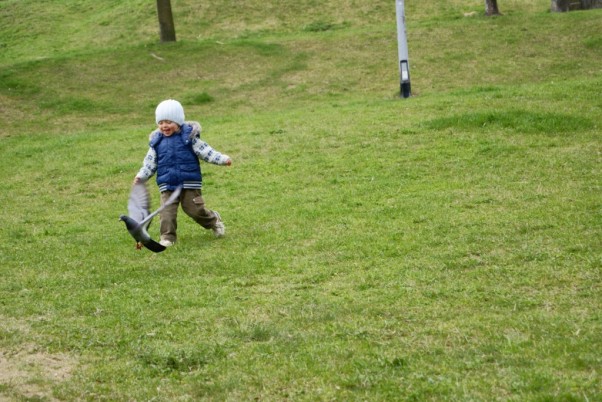 gołębie samo bieganie to wyśmienita zabawa dla dzieci, a bieganie za gołębiem dostarcza jeszcze więcej emocji :&#41;