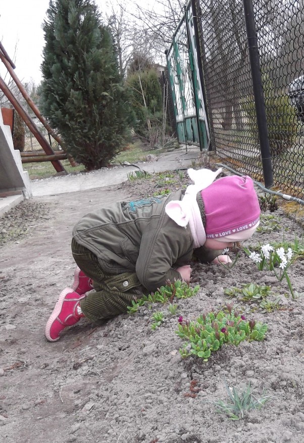 Zdjęcie zgłoszone na konkurs eBobas.pl W poszukiwaniu wiosny