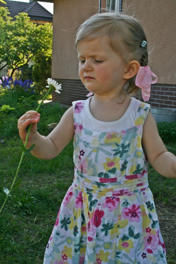 Zdjęcie zgłoszone na konkurs eBobas.pl hmmm... Dlaczego na tym kwiatku jest robaczek??\nbeee... już mi się ten kwiatek nie podoba!!!