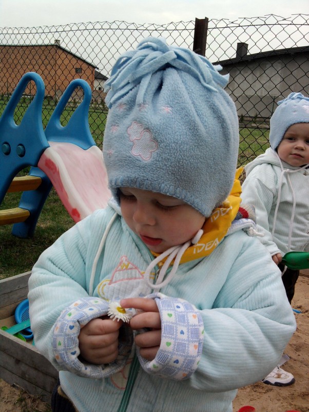 Zdjęcie zgłoszone na konkurs eBobas.pl O kwiatusiek :&#41;