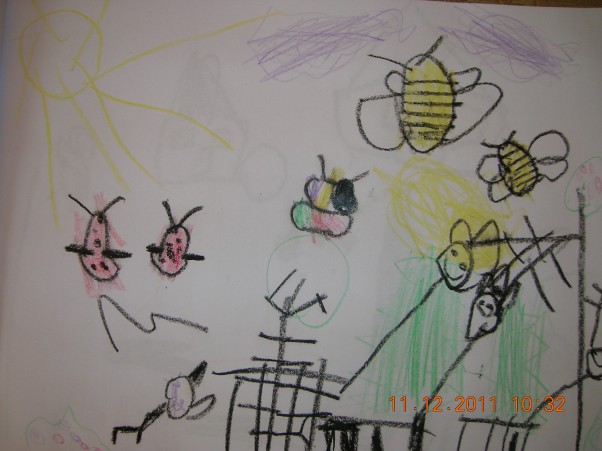 Lato z owadami. Owady obserwowane przez 5 letniego Marcela.