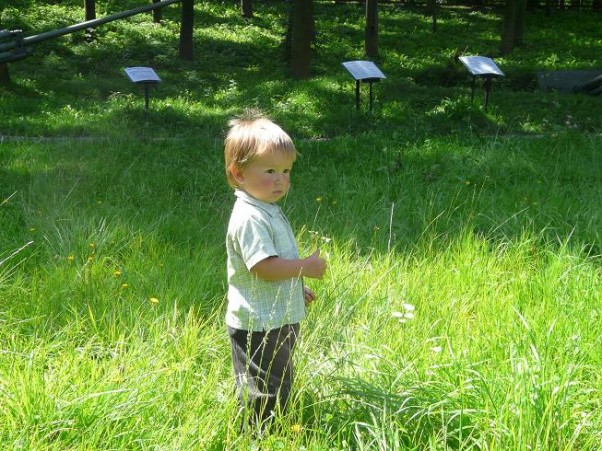 Zdjęcie zgłoszone na konkurs eBobas.pl zawsze jest fajnie buszować w wysokiej trawie ;&#45;&#41;