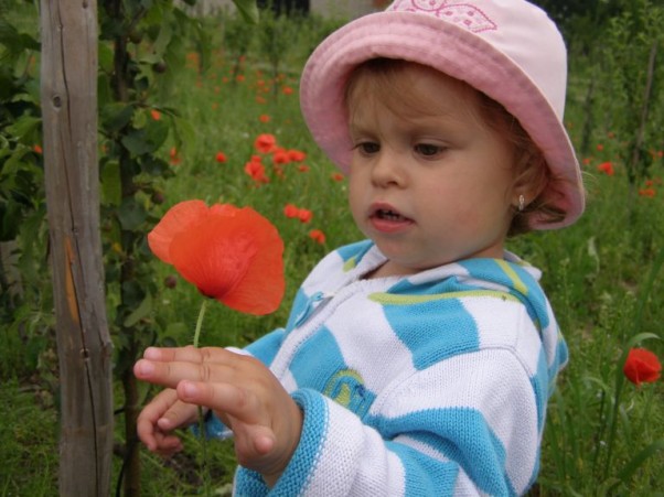 Zdjęcie zgłoszone na konkurs eBobas.pl 