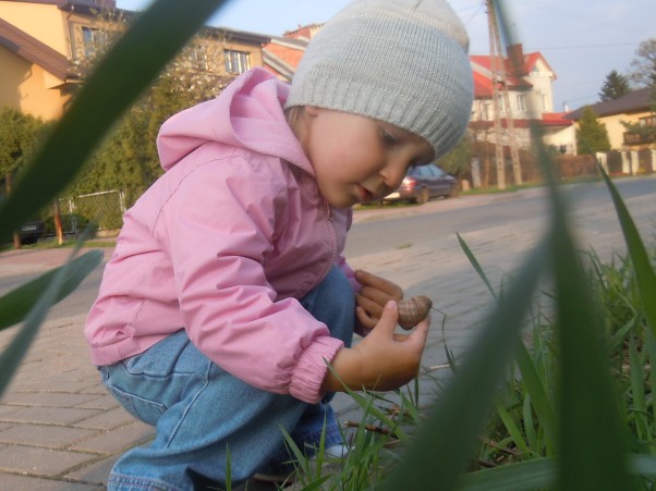 W poszukiwaniu Pani Wiosny... Ma domek zawsze ze sobą, jest śliski i chowa swoje oczka kiedy go podnoszę. No tak już wiem kogo znalazłam! Ślimak, ślimak pokaż rogi dam Ci sera na pierogi... 