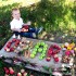 Jesienią w ogrodzie zebrane przysmaki &#45;\nowoce, warzywa &#45; świeże, kolorowe...\nw nich moc witamin, uwielbiam ich smaki\ni chętnie je zjadam, bo wiem, że są zdrowe!