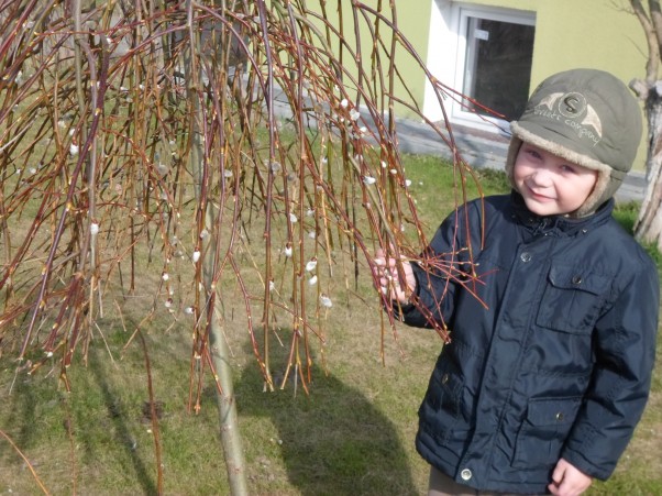 Zdjęcie zgłoszone na konkurs eBobas.pl O znalazłem bazie kotki,a ja jaki jestem słodki;&#41;