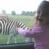 wycieczka do zoo safari w świerkocinie&#45;polecam gorąco to miejsce