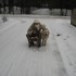 Kubuś z pomocą mamy i psa tropiciela Maksa szukają Świętego Mikołaja pośród wigilijnych śniegów!
