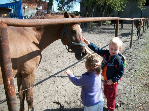 Zdjęcie zgłoszone na konkurs eBobas.pl wycieczka do stadniny koni